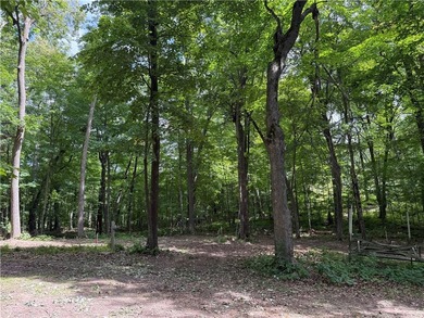 Perfect elevation lot on Long Lake! Experience one of - photo 19