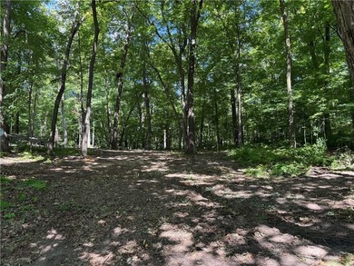 Perfect elevation lot on Long Lake! Experience one of - photo 21