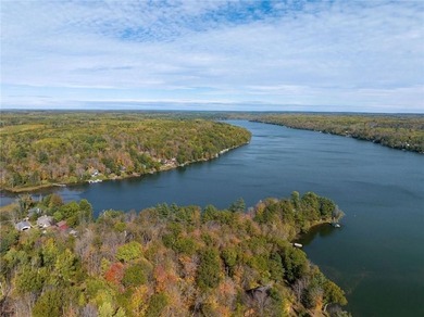 Perfect elevation lot on Long Lake! Experience one of - photo 23