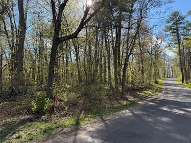 Perfect elevation lot on Long Lake! Experience one of - photo 24