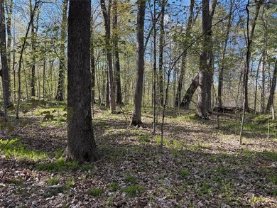 Perfect elevation lot on Long Lake! Experience one of - photo 25