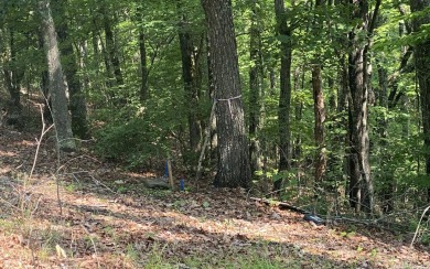 Private, Wooded Lot on the North Side of Blairsville. This Lot - Lake Lot For Sale in Blairsville, Georgia