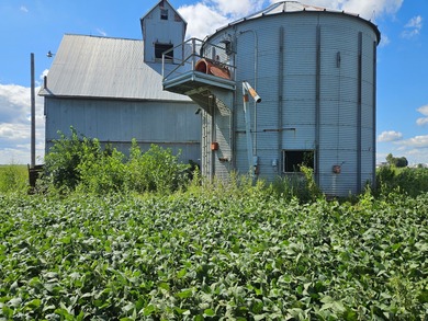 Residential acreage/small farm with UNINHABITABLE DWELLING - photo 5