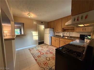 Welcome to this beautiful move-in-ready 3 bedroom 2 bath 1761 sq - photo 9