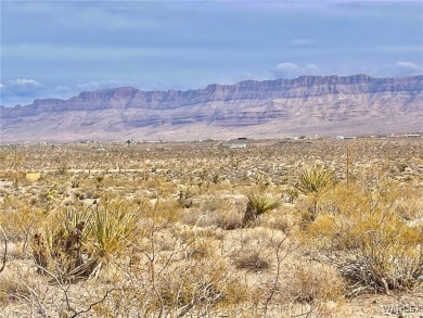 Lake Mead Lot For Sale in Meadview Arizona