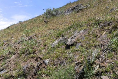 Here's your chance to own a breathtaking piece of Idaho just - photo 13