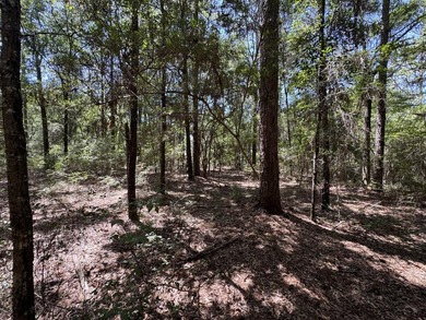 This expansive 3.9-acre parcel in Dogwood Lakes Estates, a - photo 13