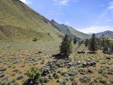 Here's your chance to own a breathtaking piece of Idaho just - photo 14