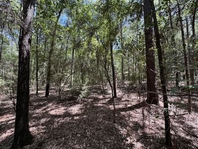 This expansive 3.9-acre parcel in Dogwood Lakes Estates, a - photo 14