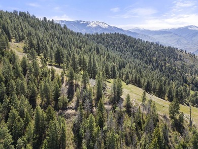 Here's your chance to own a breathtaking piece of Idaho just - photo 15