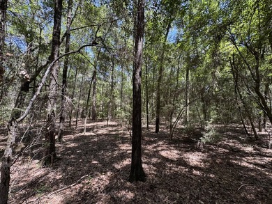 This expansive 3.9-acre parcel in Dogwood Lakes Estates, a - photo 15