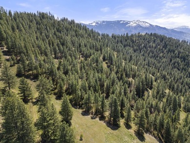 Here's your chance to own a breathtaking piece of Idaho just - photo 16