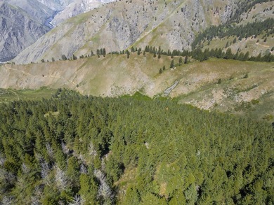 Here's your chance to own a breathtaking piece of Idaho just - photo 17