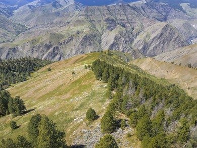 Here's your chance to own a breathtaking piece of Idaho just - photo 18