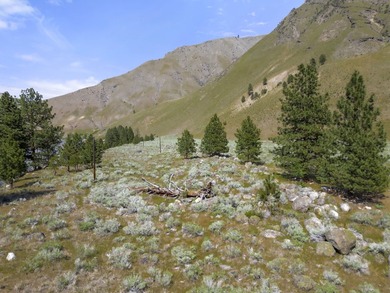 Here's your chance to own a breathtaking piece of Idaho just - photo 19