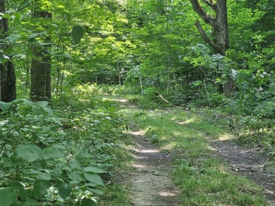 Lake Acreage For Sale in Andover, Maine