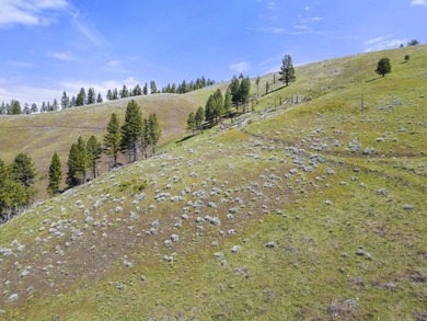 Here's your chance to own a breathtaking piece of Idaho just - photo 21