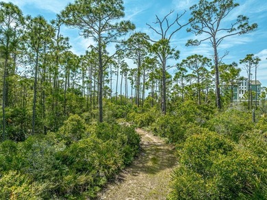 Enjoy privacy, solitude, and spectacular sunsets on this 1 - photo 2