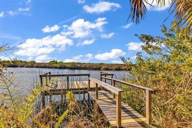 SAN SOUCI PUNTA GORDA, SHELL CREEK AREA. Rare unique property - photo 29
