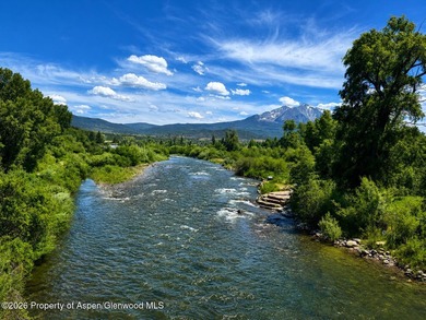 Enjoy the ease of a low-maintenance home in one of Carbondale's - photo 35