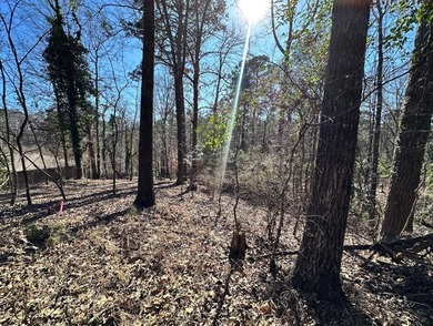 Build your dream home on this 1.5+/- acre lot located in the - photo 5