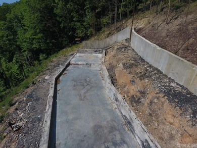 This amazing 3 Acre lot has the best view on all of Lake - photo 8