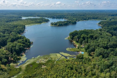 Silver Lake - Van Buren County Acreage For Sale in Grand Junction Michigan