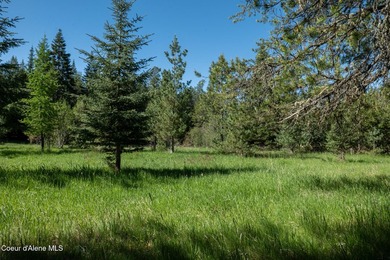 This exceptional 3.65-acre riverfront property features 405 feet - photo 5