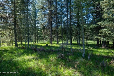 This exceptional 3.65-acre riverfront property features 405 feet - photo 8