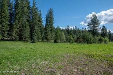 This exceptional 3.65-acre riverfront property features 405 feet - photo 9