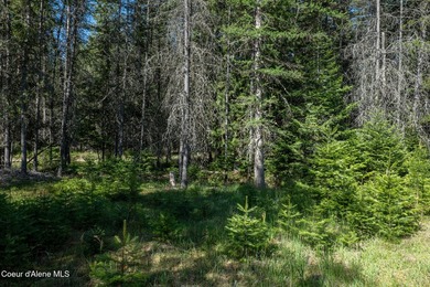 This exceptional 3.65-acre riverfront property features 405 feet - photo 10