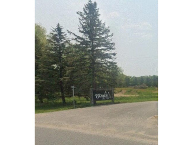 Lake Acreage For Sale in Hastings, Michigan