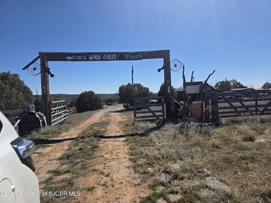 Animas River Home For Sale in Aztec New Mexico