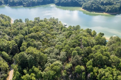Lewis Smith Lake Lot For Sale in Logan Alabama