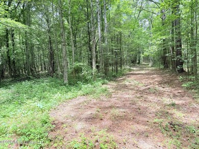 This 164.19 surveyed-acre property on Potluck Road in Canton - photo 11