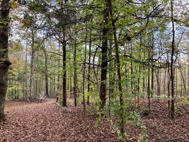If you're looking for the perfect small recreational property - photo 11