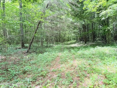 This 164.19 surveyed-acre property on Potluck Road in Canton - photo 12