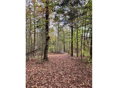 If you're looking for the perfect small recreational property - photo 12