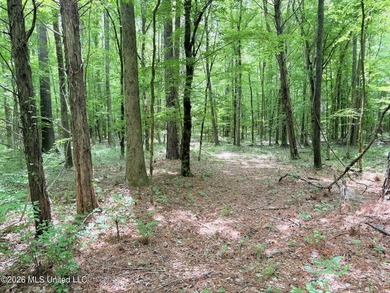 This 164.19 surveyed-acre property on Potluck Road in Canton - photo 13