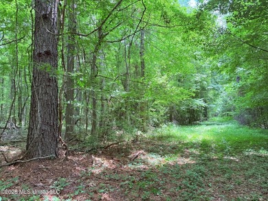 This 164.19 surveyed-acre property on Potluck Road in Canton - photo 14