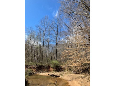 If you're looking for the perfect small recreational property - photo 14
