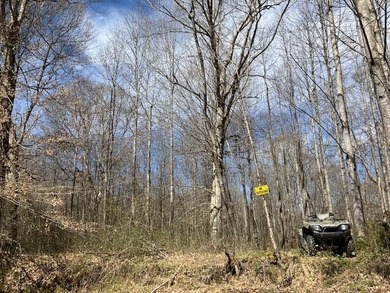 If you're looking for the perfect small recreational property - photo 15
