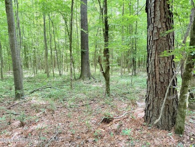 This 164.19 surveyed-acre property on Potluck Road in Canton - photo 16