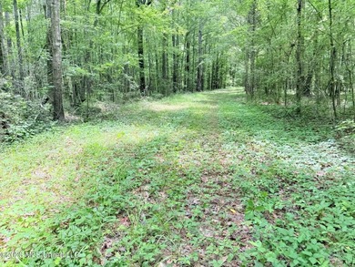 This 164.19 surveyed-acre property on Potluck Road in Canton - photo 17