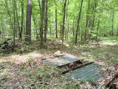 This 164.19 surveyed-acre property on Potluck Road in Canton - photo 18