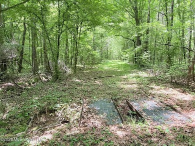 This 164.19 surveyed-acre property on Potluck Road in Canton - photo 19