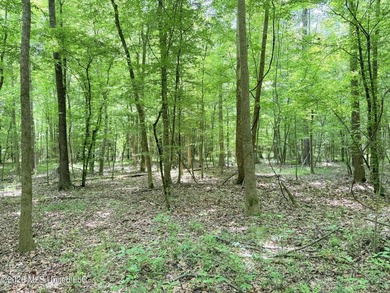 This 164.19 surveyed-acre property on Potluck Road in Canton - photo 20
