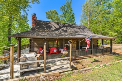 Beautiful lake access cabin minutes away from Rock Harbor - Lake Home For Sale in New Tazewell, Tennessee