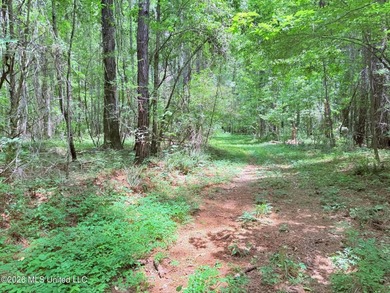 This 164.19 surveyed-acre property on Potluck Road in Canton - photo 21