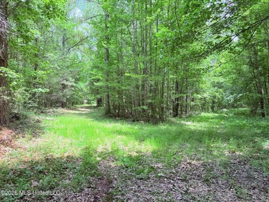 This 164.19 surveyed-acre property on Potluck Road in Canton - photo 22